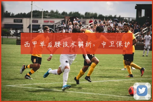 西甲单后腰技术解析，中卫保护